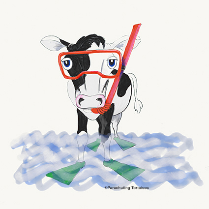 Snorkelling Cow